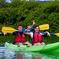St Thomas Shore Excursion: Mangrove Lagoon Kayak and Snorkel Tour