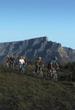 Table Mountain Bike Tour from Cape Town