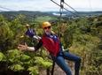 Waiheke Island: Zipline And Forest Walk 