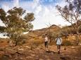  Flinders Ranges 3 Day 4WD Small Group Eco Tour from Adelaide