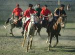 Attend Shandur Polo Festival, Pakistan