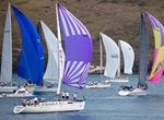 Sail in Hamilton Island Race Week, Australia