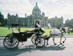 45-Minute Beacon Hill Park Carriage Tour