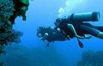 Scuba Diving with a 5-Star PADI Center in Puerto Vallarta