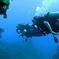 Scuba Diving with a 5-Star PADI Center in Puerto Vallarta