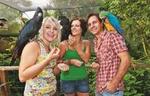 Kuranda Koala Gardens and Birdworld Admission Tickets