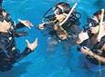 Learn to Dive - Puerto Vallarta Beginners Scuba Course