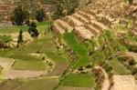 Private Tour: Arequipa Countryside Tour Including Sabandia Mill and Founder's Mansion