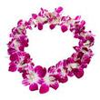 Traditional Airport Lei Greeting on Kona Hawai'i