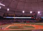 Attend Rays Game at Tropicana Field, St. Petersburg, Florida