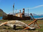 Visit Grytviken & King Edward Cove, South Georgia Island