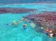 Cades Reef Snorkel Cruise from St. John's Antigua