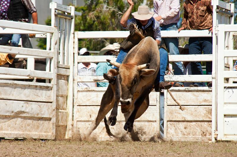 Rodeo