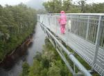 Walk on Tahune Airwalk, Tasmania