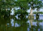 Explore Lake Fausse Pointe State Park, Louisiana