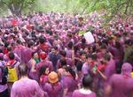 Attend Haro Wine Festival (La Batalla del Vino), Haro, Spain