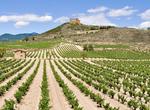 Wine Tasting in Rioja, Spain