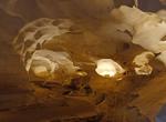Explore Longhorn Cavern State Park, Texas