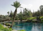 Swim at Gan HaShlosha National Park, Israel