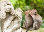 Visit Ubud Monkey Forest, Ubud, Bali