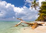 Visit Saona Island, Dominican Republic
