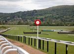 Attend Cheltenham Gold Cup, Cheltenham, England