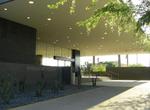 Visit Phoenix Art Museum, Arizona