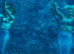 See Mermaids at Weeki Wachee Springs, Florida