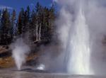 See Turban Geyser, Upper Geyser Basin, Yellowstone National Park