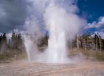 See Grand & Vent Geysers, Yellowstone National Park, Wyoming