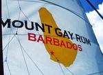Attend Mount Gay Rum Barbados Regatta