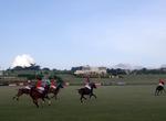 Watch a Polo Match on Barbados