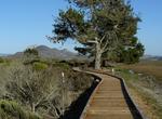 Explore Morro Bay State Park & Marine Reserve, California