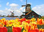 Visit Holland