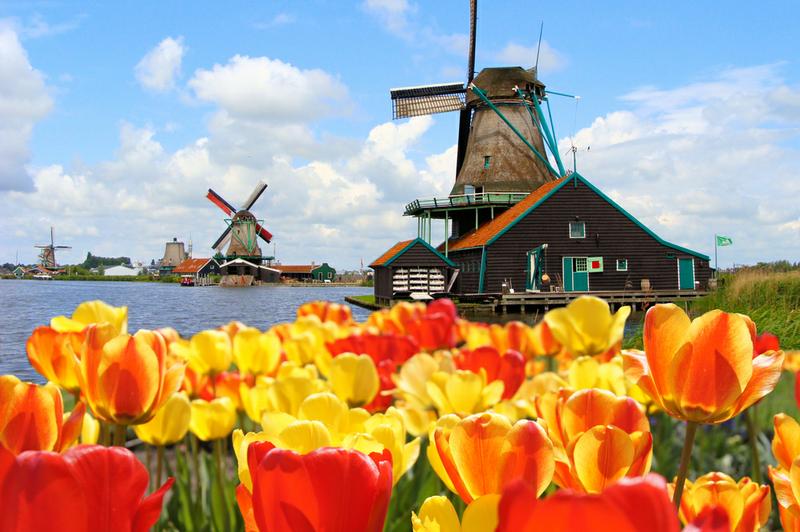 Holland Holland