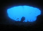 Dive Nereo Cave, Sardinia