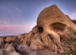 Hike to Skull Rock, Joshua Tree National Park
