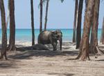 Visit Havelock Island, Andaman Islands, India