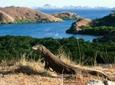 2-Day Komodo National Park and Rinca Island Wildlife Adventure from Bali
