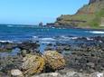 2-Day Northern Ireland Rail Tour: Belfast, Antrim Coast, and Giant's Causeway