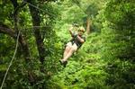 Antigua Zipline Canopy Adventure from St John’s