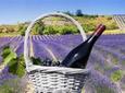 Cotes de Provence Wine Tour from Aix-en-Provence