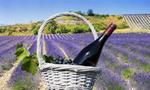 Cotes de Provence Wine Tour from Aix-en-Provence
