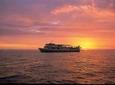 Fiji Sunset Dinner Cruise Including Fijian Cultural Show