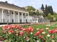 Heidelberg and Baden-Baden Tour from Frankfurt