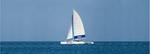 Chukka's Catamaran Cruise to Dunn's River Falls from Ocho Rios or Montego Bay