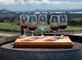 Maipú Wine-Tasting Tour from Mendoza Including Trapiche Winery