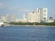 Tokyo Panoramic : Meiji Shrine,Asakusa Temple,Tokyo Bay Cruise & Odaiba Day Tour
