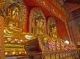 Foshan Cultural One Day Tour including Ancestral Temple & Nanfeng Ancient Kiln