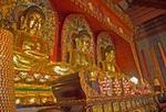Foshan Cultural One Day Tour including Ancestral Temple & Nanfeng Ancient Kiln